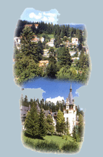 Imagine Sinaia